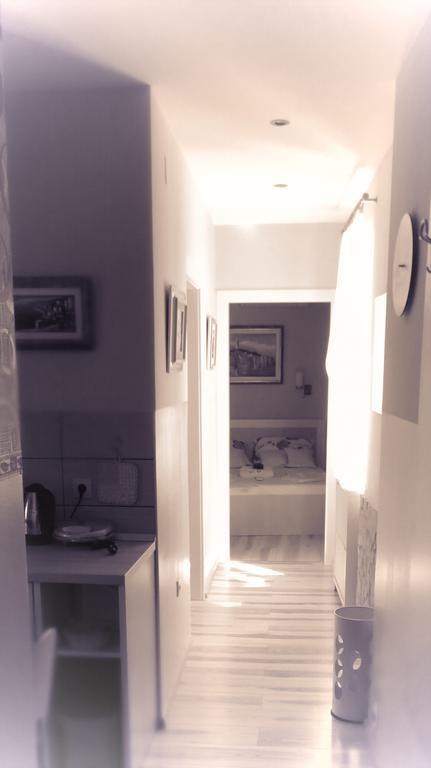 Apartment Barbara - Bojana شيبينيك الغرفة الصورة